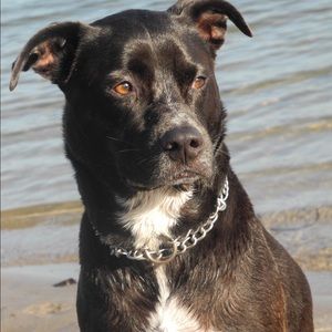 Meet your Posher, Jon